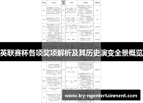英联赛杯各项奖项解析及其历史演变全景概览 英联赛杯各项奖项解析及其历史演变全景概览