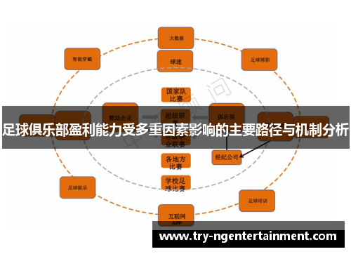 足球俱乐部盈利能力受多重因素影响的主要路径与机制分析