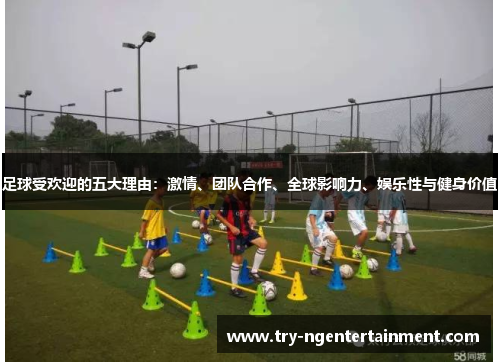足球受欢迎的五大理由：激情、团队合作、全球影响力、娱乐性与健身价值